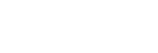 logo vector white security